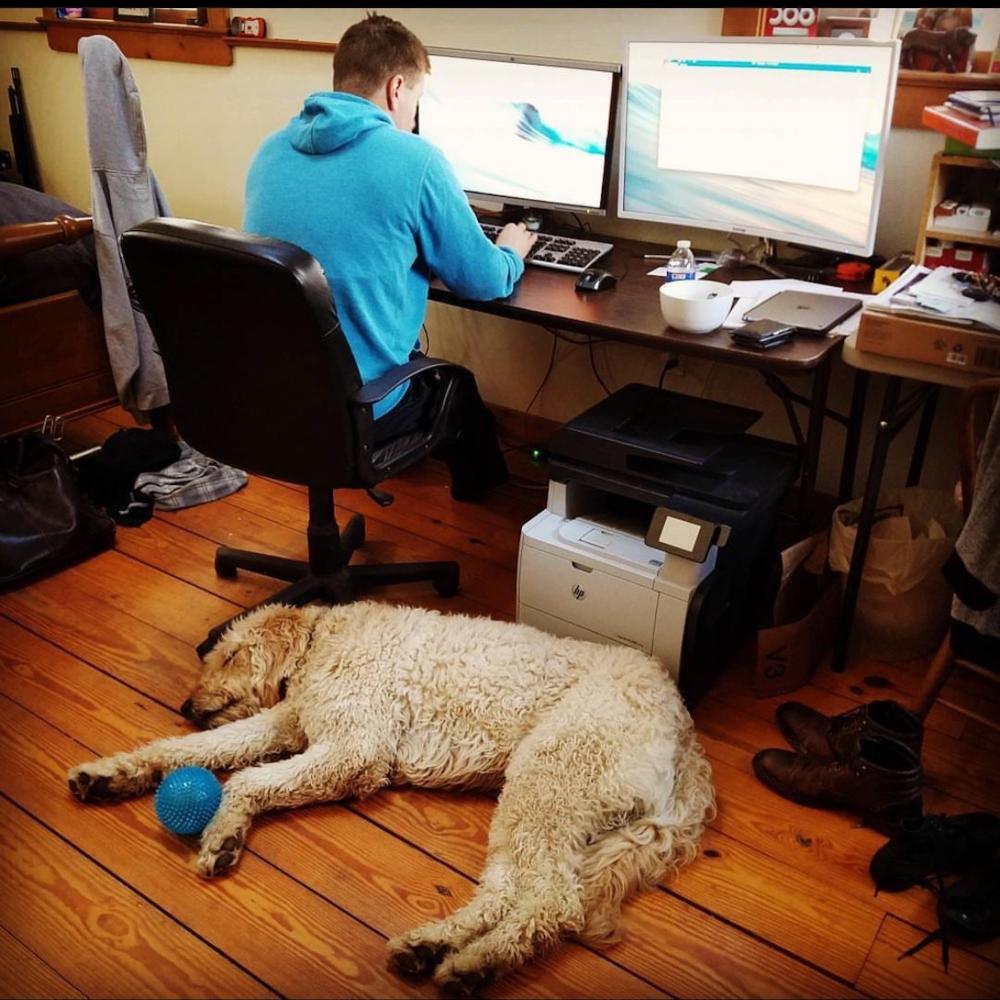 A man is working, and there is a dog lying beside him.